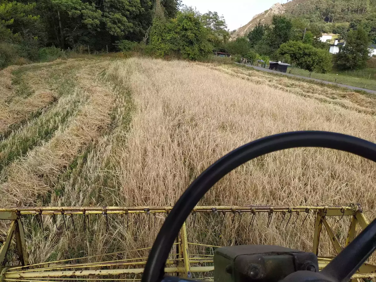 Votante de tractor circulando por un campo seco